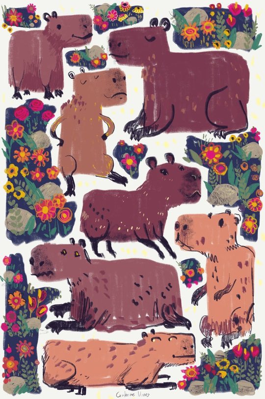 capybaras and shapes