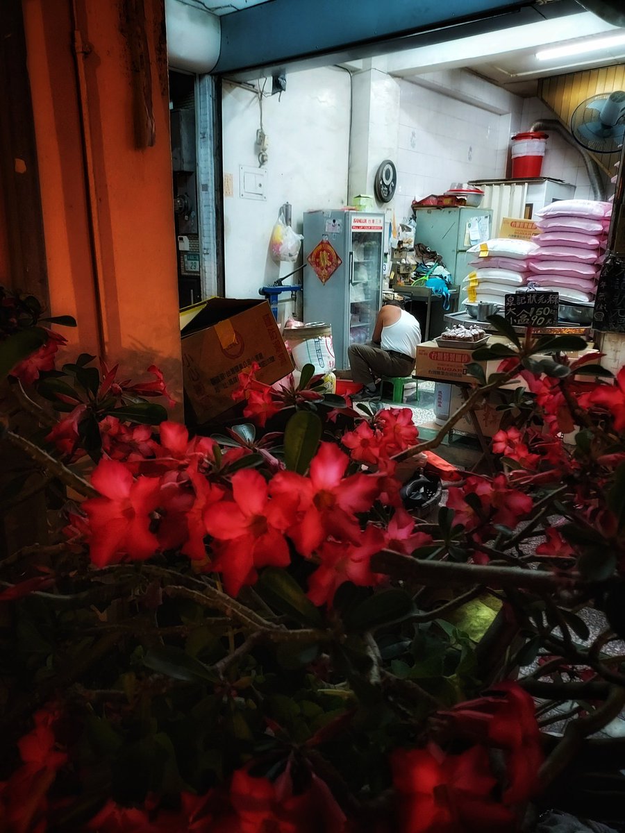 お米屋 2 #台湾 #台南 #Taiwan #nightphotography #streetphotography ©️skinskin