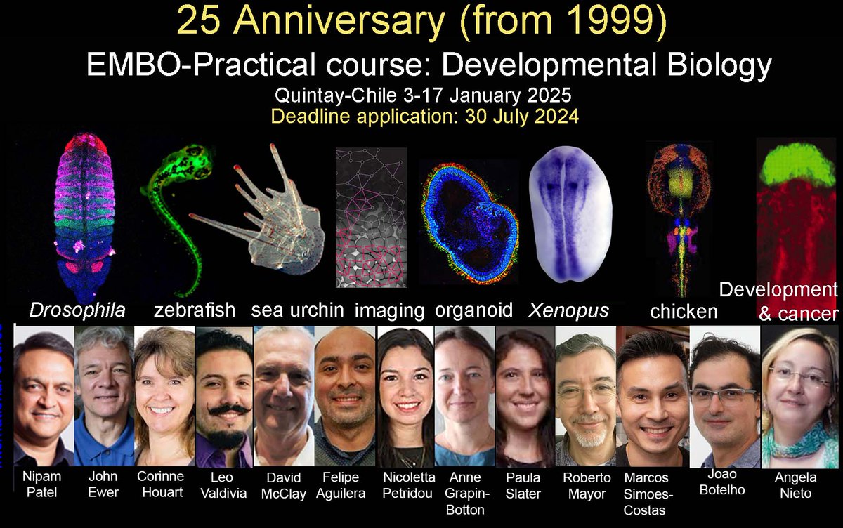 To celebrate the 25 anniversary of this course we will host a special symposium with course alumni. If you have been a student in any version of this course in Chile and will be in Chile on January 10, 2025, please contact R. Mayor (r.mayor@ucl.ac.uk). Help us promote this event.