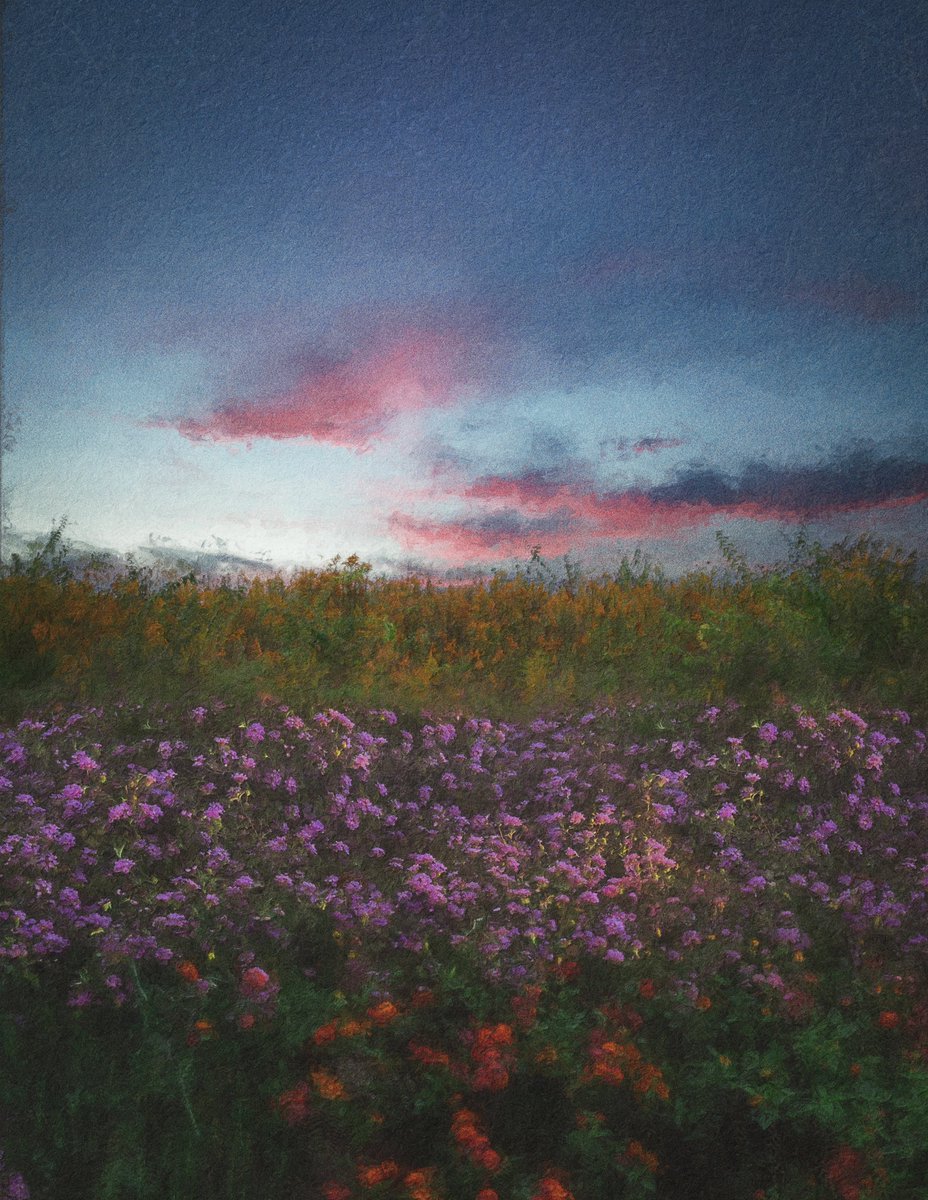 GM! Day's End by @lordofthecatss. Original nature photos layered on top of one another, creating an entirely new landscape. Blurring the line between a photograph and a painting.