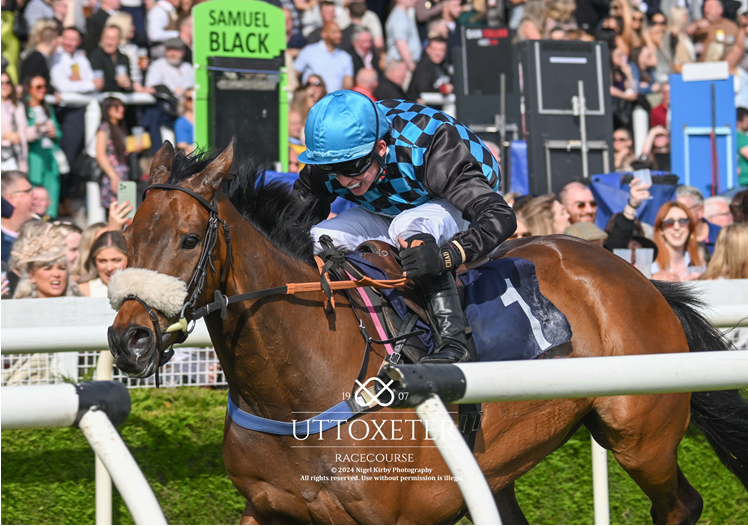 Race 2 - Adept GRP Cabinets Handicap Chase Winner - Nocte Volatus Trainer - Tom Lacey Jockey Cameron Iles Owner Lady Cobham And Dauntsey Park Image taken by @nigekirby