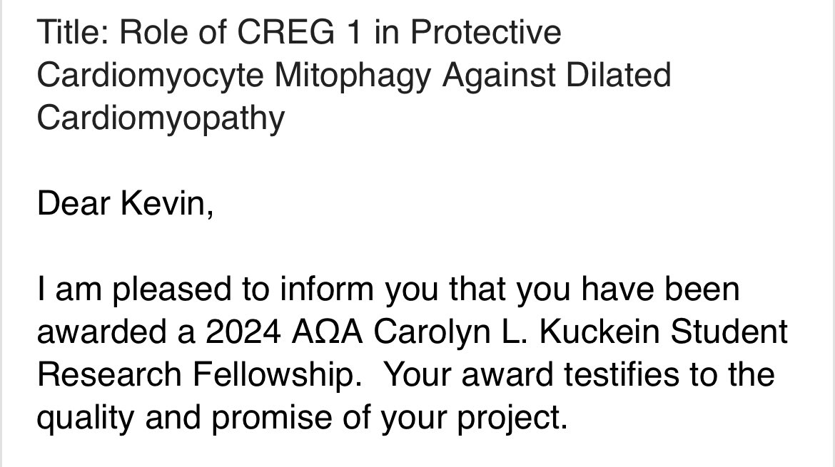 Kevin B. Hayes (@kevinbhayes11) on Twitter photo I am thrilled to announce that I received a 2024 AOA Carolyn L. Kuckein Student Research Fellowship for my project with Dr. Leonard Lee and Dr. Shaohua Li! I’m excited to continue my journey towards a career as a cardiothoracic surgeon scientist 🧫🧪
<a href="/RutgersCTSurg/">Rutgers Cardiothoracic Surgery</a> <a href="/AOA_society/">Alpha Omega Alpha</a> I am thrilled to announce that I received a 2024 AOA Carolyn L. Kuckein Student Research Fellowship for my project with Dr. Leonard Lee and Dr. Shaohua Li! I’m excited to continue my journey towards a career as a cardiothoracic surgeon scientist 🧫🧪
<a href="/RutgersCTSurg/">Rutgers Cardiothoracic Surgery</a> <a href="/AOA_society/">Alpha Omega Alpha</a>
