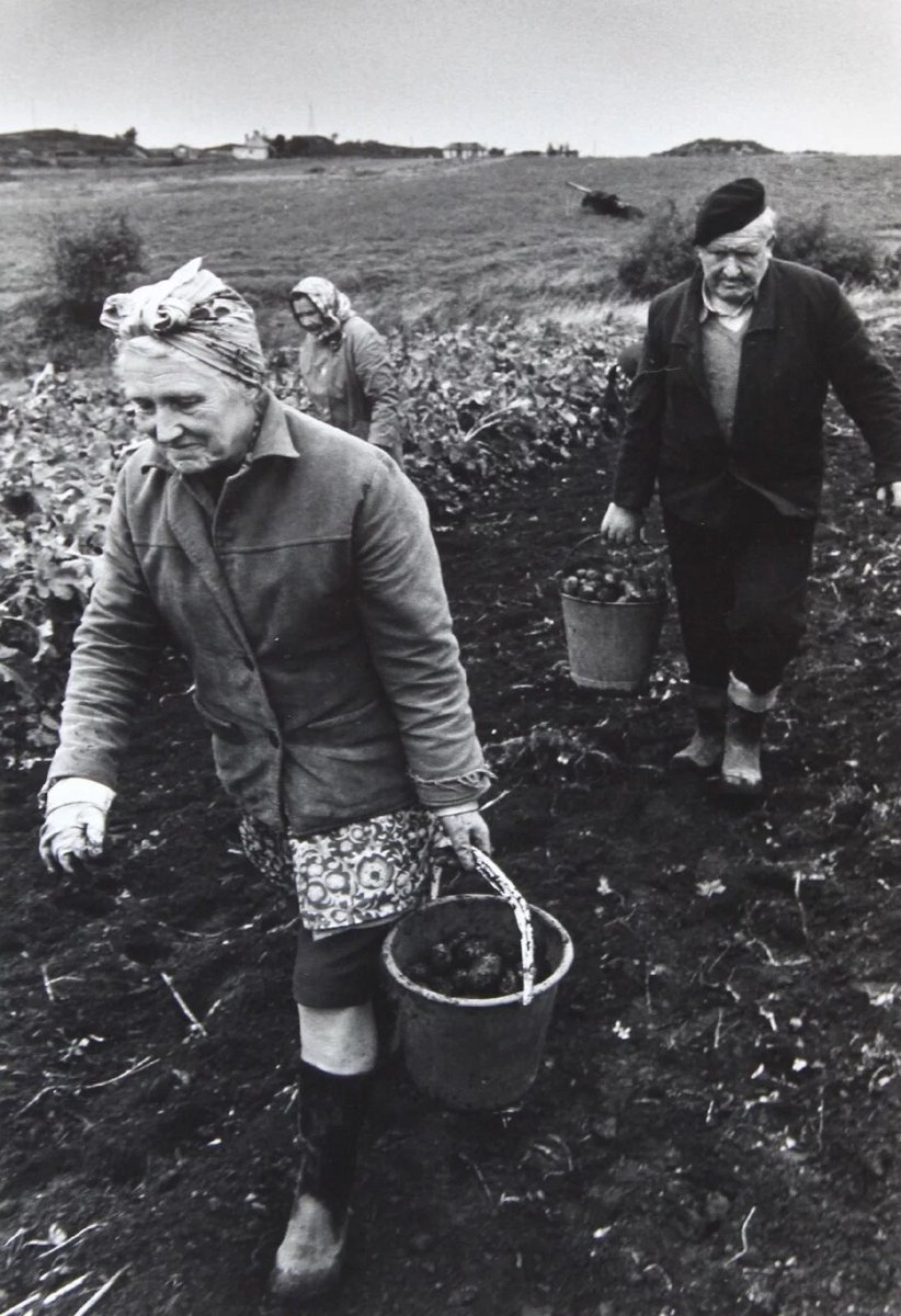 Colin Jones
Crofters, Shetland Islands, Scotland, 1974