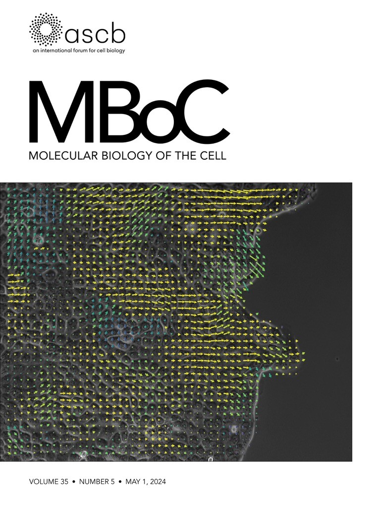 MBoC has published it's first full-length review on 'Neurofilament Biophysics: From Structure to Biomechanics.'

molbiolcell.org/doi/10.1091/mb…