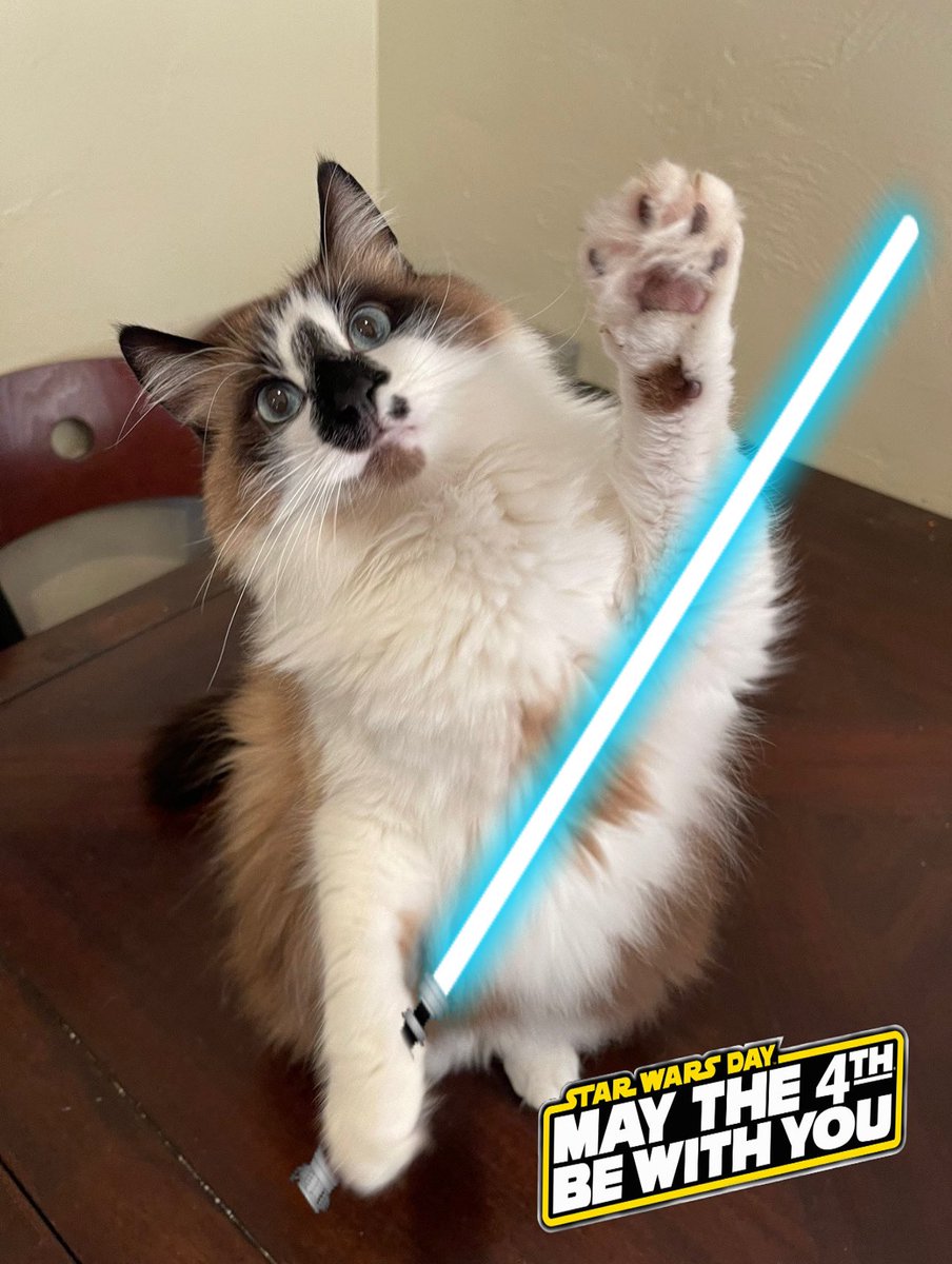 @YukiandHanalove #May4thBeWithYou too!🐾😸