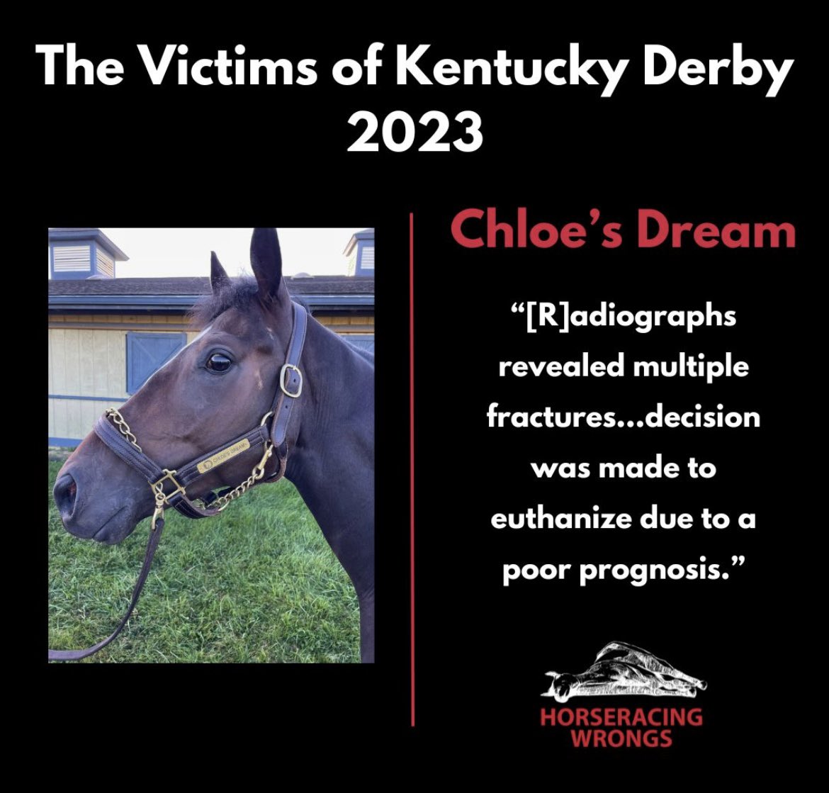 @KentuckyDerby Horseracing KILLS horses!