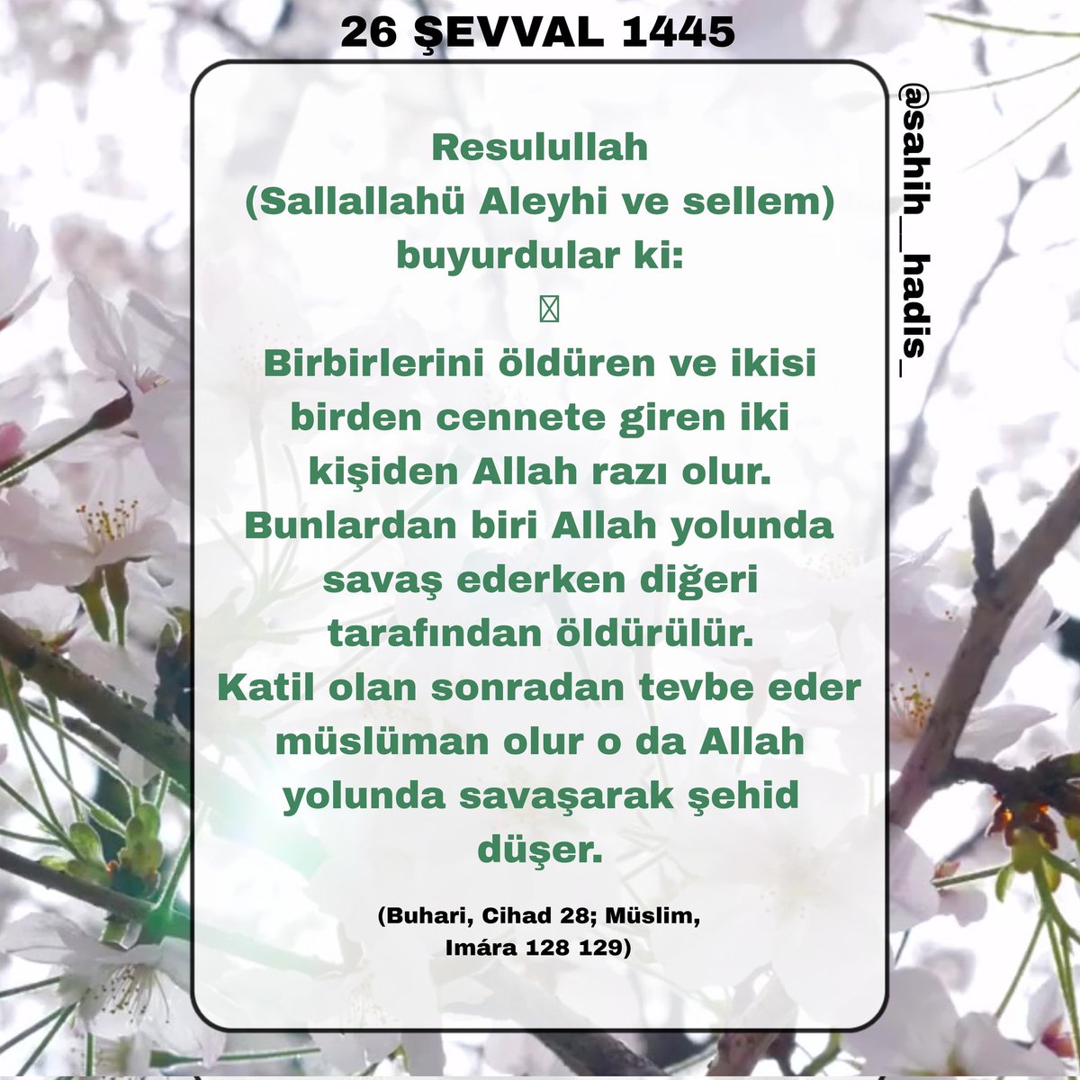 Birbirlerini öldüren ve ikisi birden cennete giren iki kişiden Allah razı olur. Bunlardan biri Allah yolunda savaş ederken diğeri tarafından öldürülür. Katil olan sonradan tevbe eder müslüman olur o da Allah yolunda savaşarak şehid düşer. Buhari, Cihad 28; Müslim, Imára 128 129