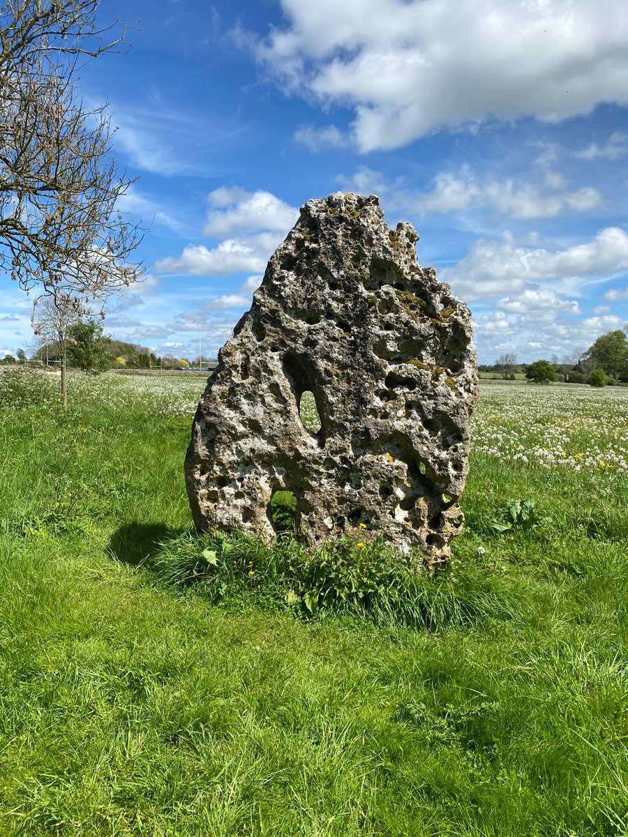 Wonderful hilly 10k walk today with an old EH chum. Walked around Gatcombe to see this beautiful standing stone, the Longstone of Minchinhampton. An early entry for #standingstonesunday! Really special area. #archaeology
