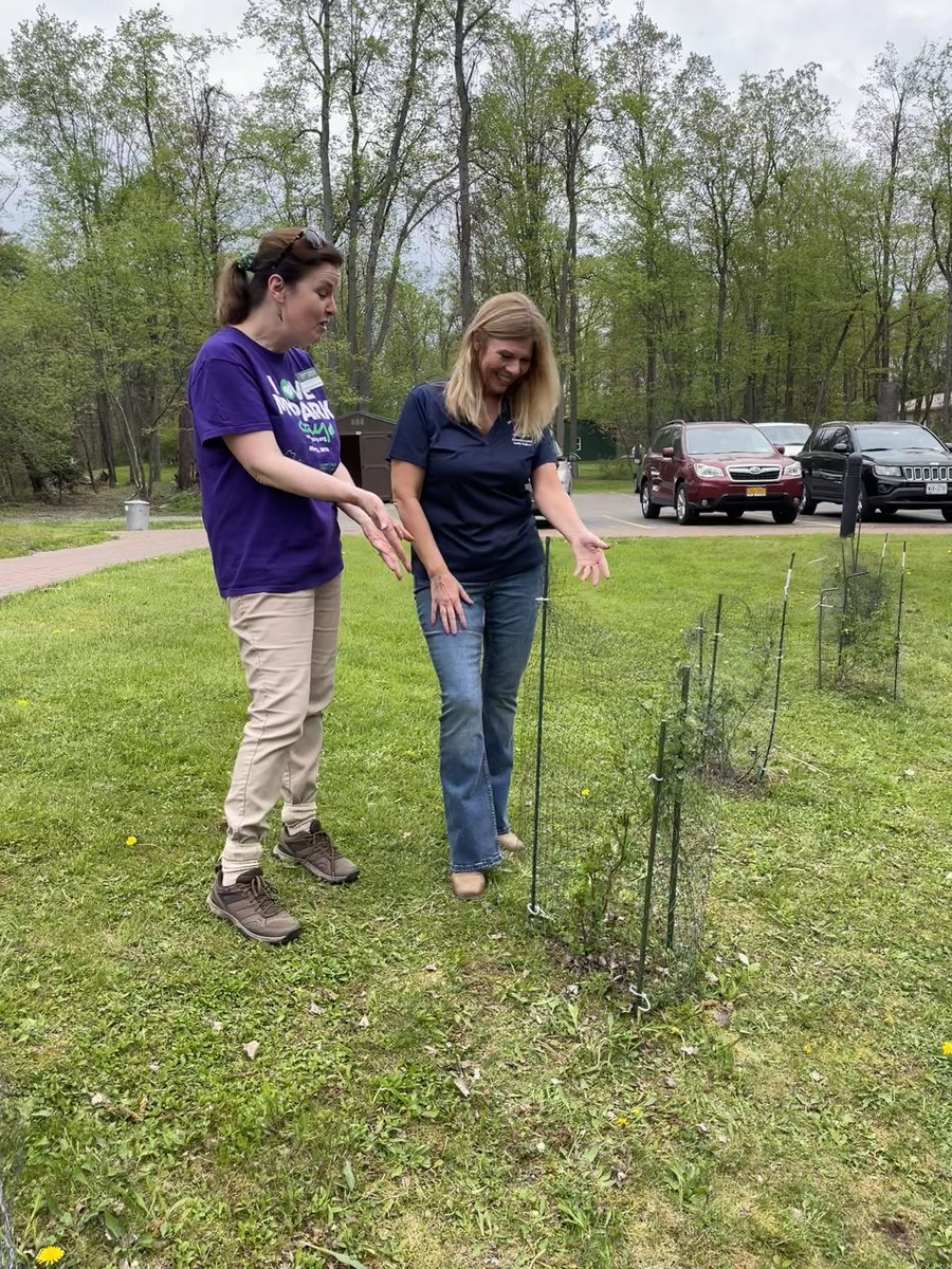 Thank you to everyone who came out to @NYSDEC and @NYstateparks I Love My Park Day cleanup at Reinstein Woods Nature Preserve. Their hard work helps preserve this beautiful space now and into the future. It was wonderful seeing how much the trees we planted last year have grown.