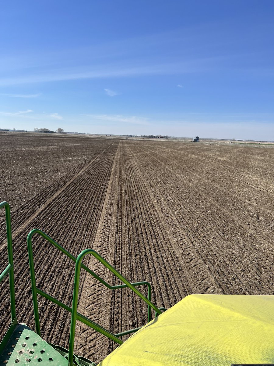 Fabelle Faba bean being seeded, ready for the rains!
stampseeds.com/fabelle-faba-b…
#WestCdnAg