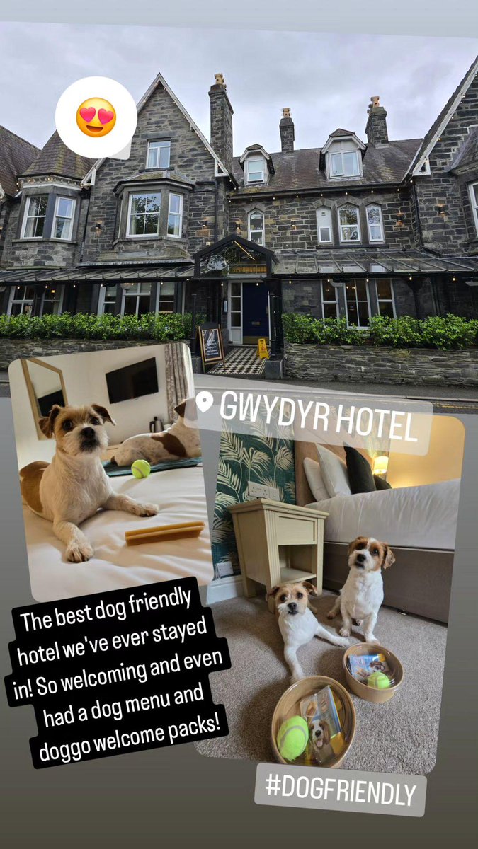 We stayed in the best #dogfriendly hotel ever last night!! #betwsycoed #Snowdonia #dogsofX