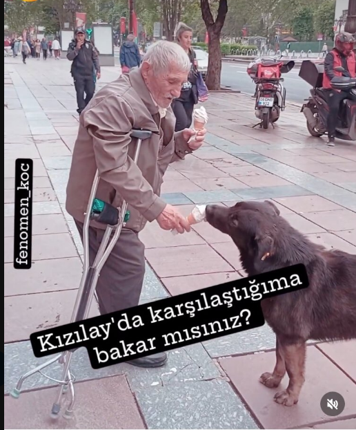 bazı oru.spu cocukları kopeği traktore baglayıp surer bazı elleri ayakları opulesi insanlarda kendisine dondurma alır ama canı ceker diye bu cana almıs onada yedirir..rabbim ayagına tas degdirmesin amcam senin.... #ibrahimkeloğlantutuklansın