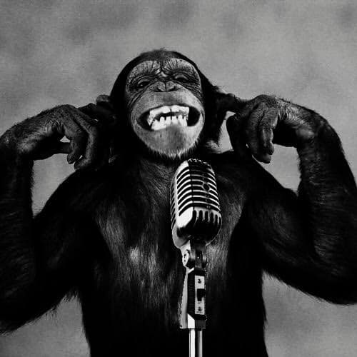 rfgenerator's tweet image. Live spinning the freeform Rock 'n Roll at wurn.net today (Sat 5/4) from 2PM to 5PM (EDT). You have been warned!