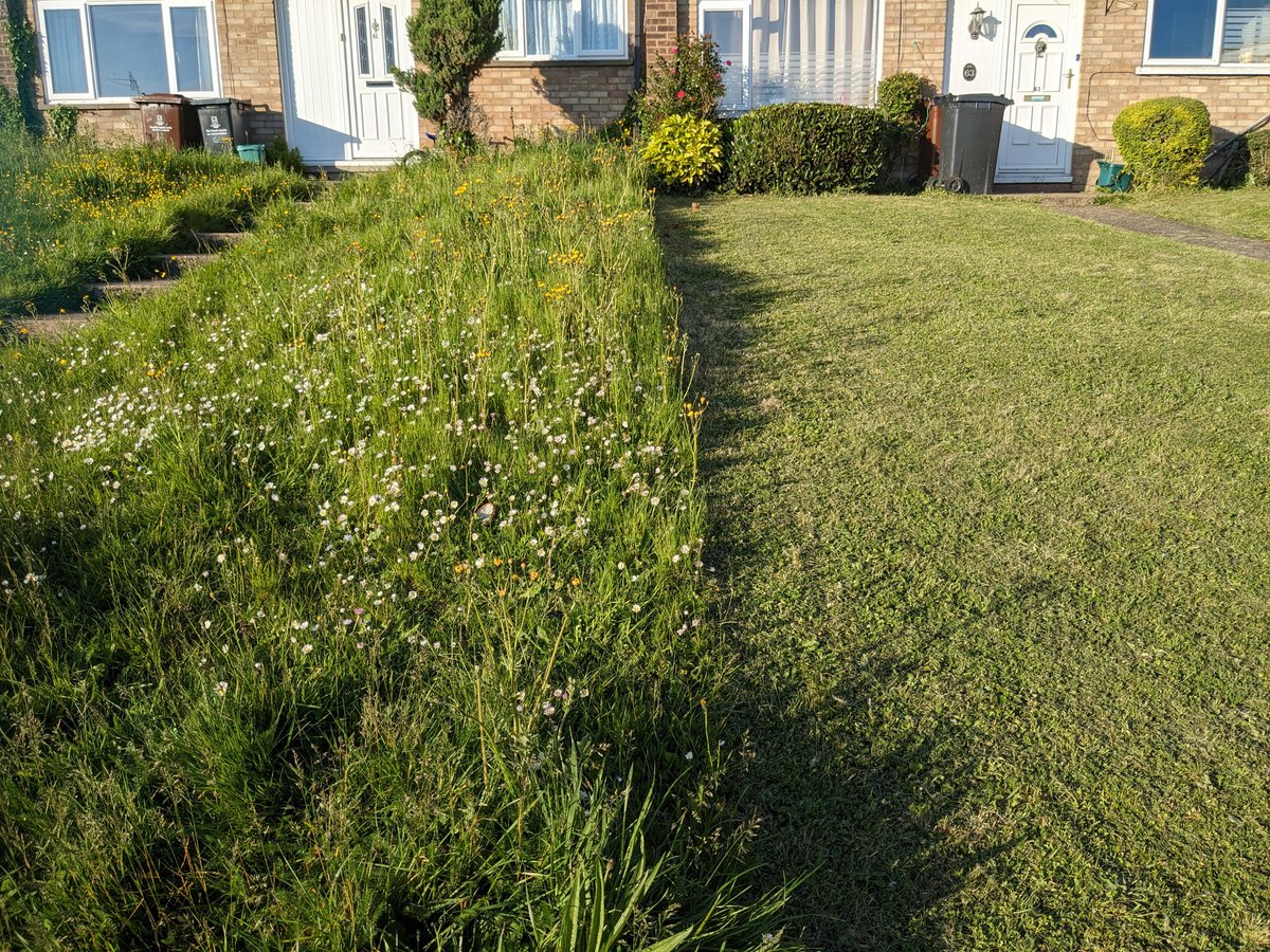 Leaving your lawn to grow creates such a nicer natural carpet of flowers and colours. It feeds wildlife, looks beautiful, costs less than the mowed alternative.

Triple win 

#letitgrow 
#NoMowMay 
#biodiversity