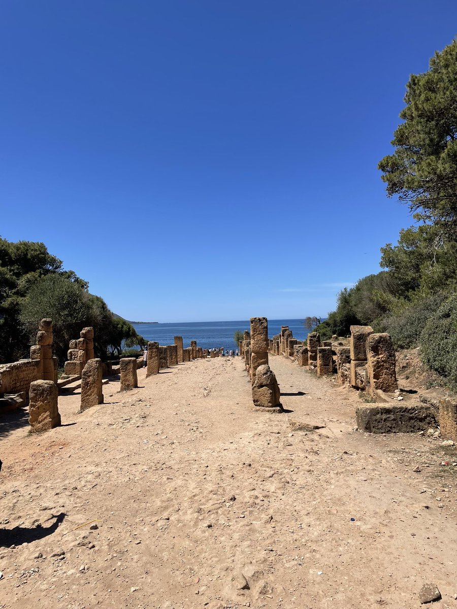 Les magnifiques ruines romaines de Tipaza.