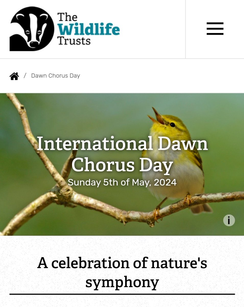 Alarm set for 3.45am. The plan is to record the dawn chorus at Media City to play in Sunday Breakfast @BBCRadio3. Fingers crossed it stays dry, or it could be a bit of a weak feature! 😂 Still, we'll be celebrating International Dawn Chorus Day. More ⬇️ wildlifetrusts.org/dawn-chorus-day