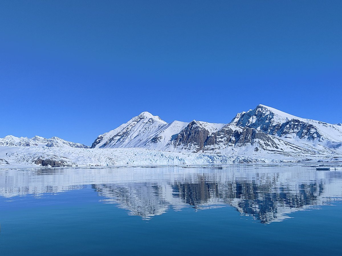 渡辺佑基 Yuuki Watanabe tweet media