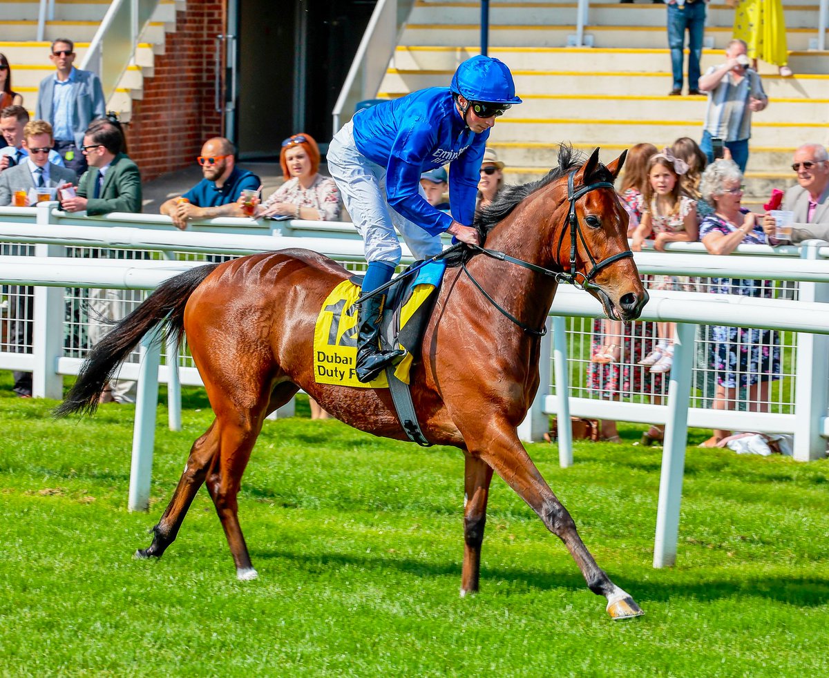 An updated pedigree for Notable Speech who ran on really well to land today’s QIPCO 2,000 Guineas @NewmarketRace. The @godolphin homebred is Dubawi's 4th winner of the race. The colt is the first foal out of UAE Oaks placed Swift Rose (pic) who’s a half-sister to Wild Beauty…