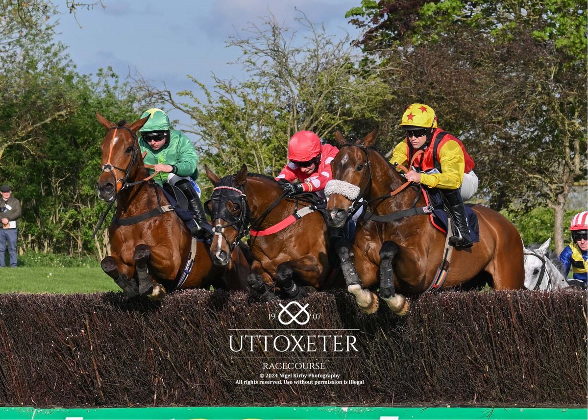 Race 5 Adept GRP Cabinets Novices' Handicap Chase Winner - Higgs Trainer - @SJDRacing Jockey - @jamesbe19813630 Owner - Andrew Gough Image taken by @nigekirby