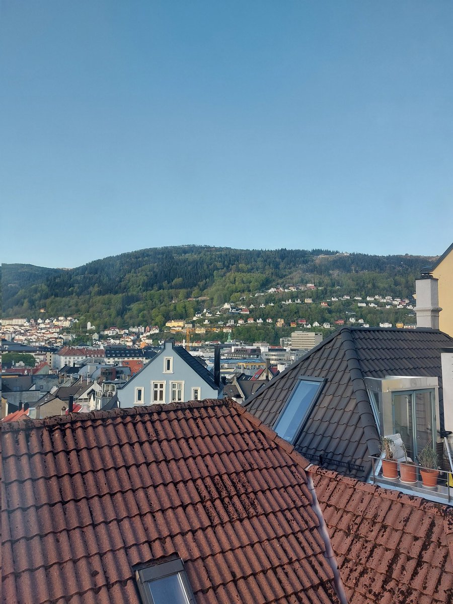 Dr. Margot Morssinkhof tweet media