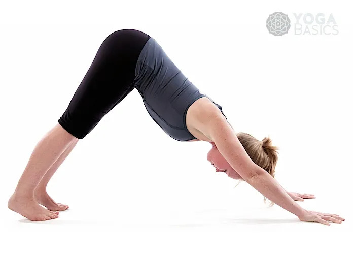 Craving clarity of mind? Find inner peace through regular practice of Down Dog Pose—an invigorating pose that builds balance and focus. 🙏 More info ➞ bit.ly/3PLWAB2 #YogaEveryday #YogaInspiration #InstaYoga #YogaGoals