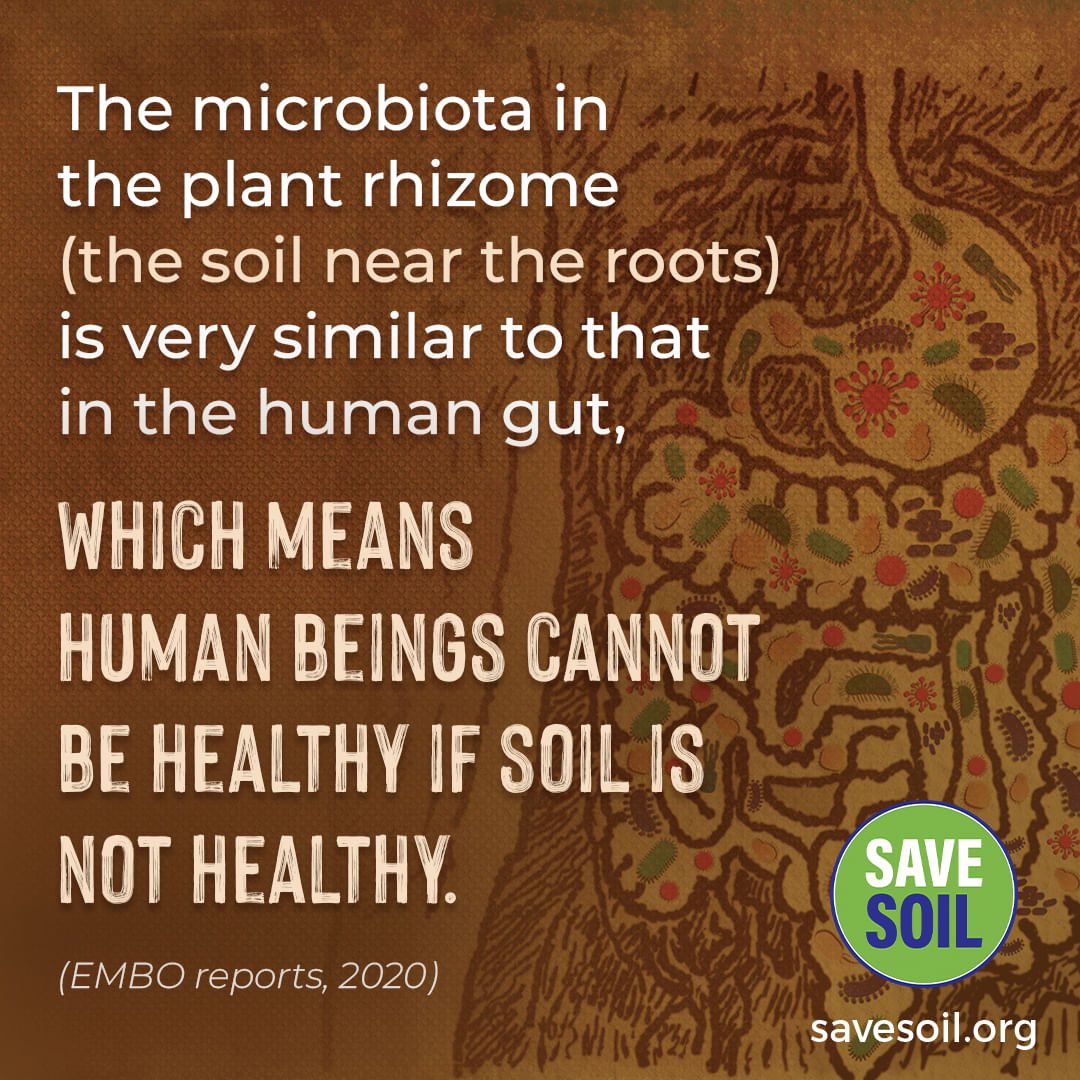 #HealthDay #SoilHealth #Soil #Human #HealthAndWellness #GutHealth #microbiome

#SaveSoil Let's Make it Happen!
#SaveSoilMovement #SaveSoilForClimateAction
#SoilForClimateAction
#ConsciousPlanet

@SadhguruJV @cpsavesoil

Action Now: savesoil.org