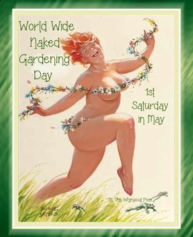 What a coincidence having two special holidays on the same day.
Wishing all my naked gardeners 'May the 4th be with you.'