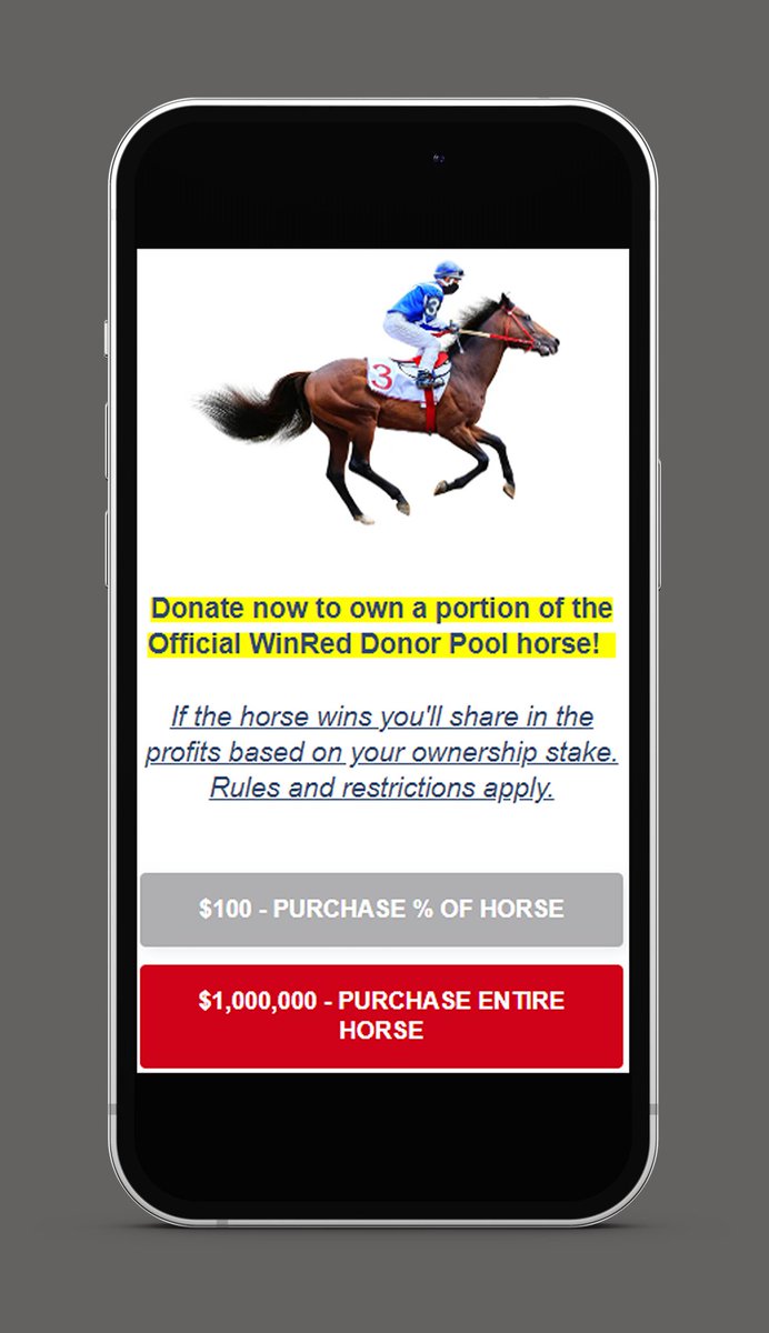 This new @WINRED upsell is going to change the game! Donors can now collectively purchase a horse for the 2025 Kentucky Derby!