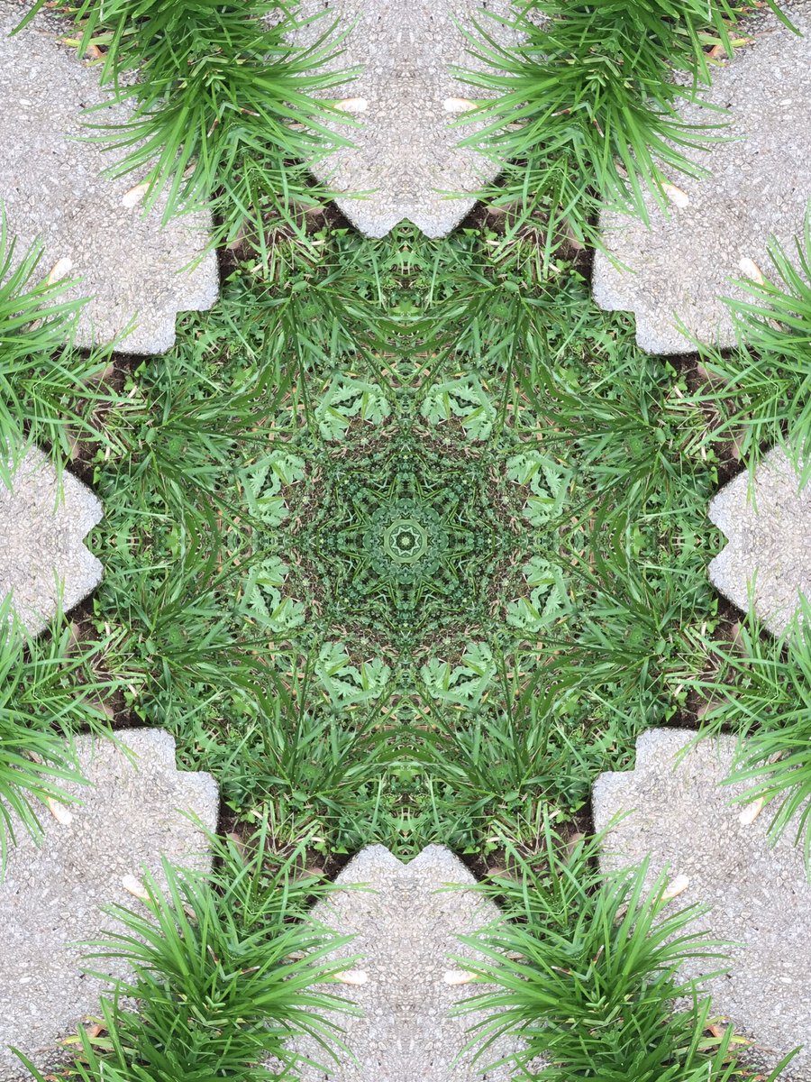 I went #Outside and got a photoshot of my #Backyard in #Kaleidoscope had to get some quick #KaleidoscopeArt before the rain falls on this beautiful #KaleidoSaturday 🌎🌍🌏 the creative posts from #KaleidoX crew is 💯💯💯💯🔥