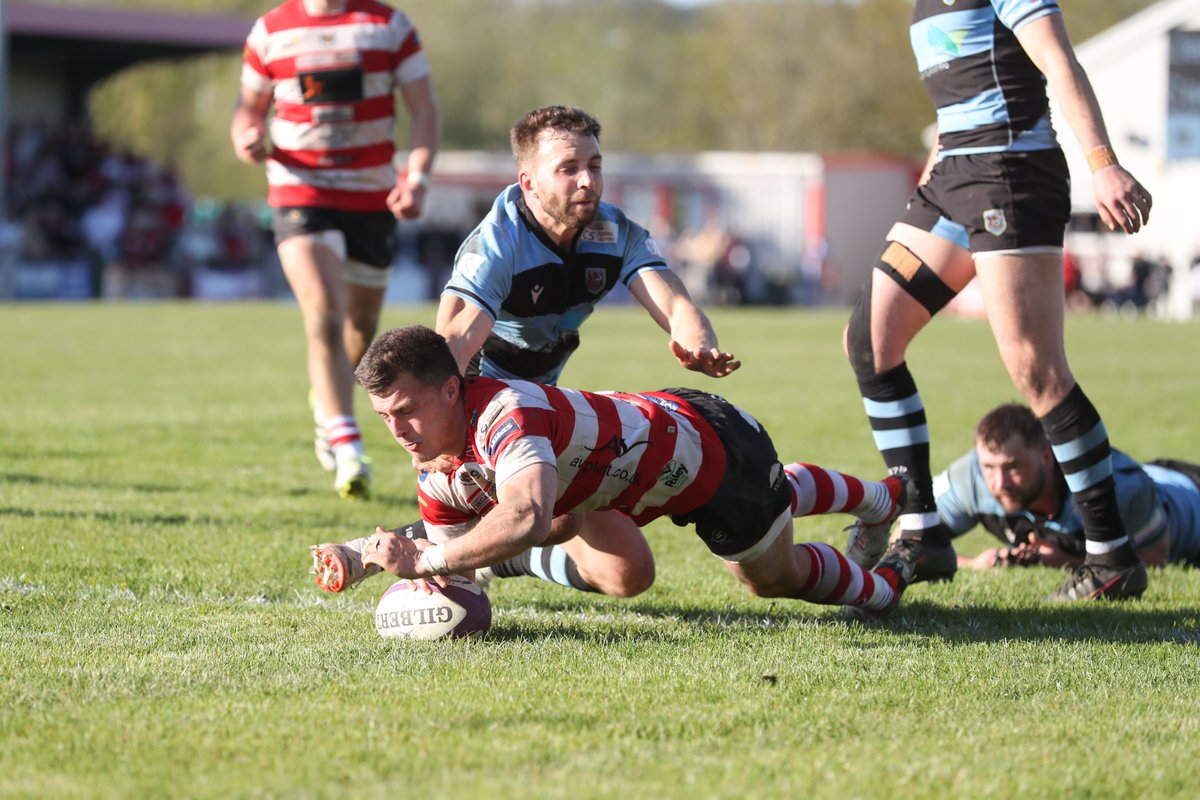 The Indigo Prem tweet media