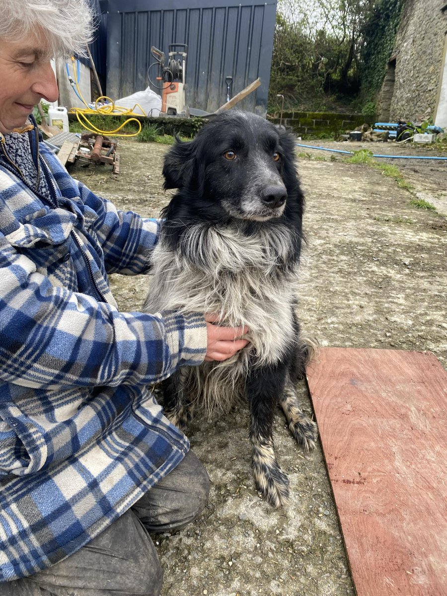 GUS is adorable. He's got super long chest hair and loves affection. We are so pleased environmental protection officers were able to save him as he's a sweetie