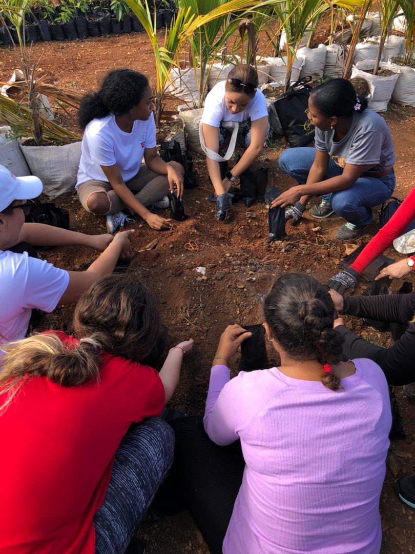 feucm_may's tweet photo. Jornada de trabajo productivo conjunto con la UNAH en homenaje a Fuctuoso Rodriguez✊🏼🇨🇺
#FEUCMMay
#SomosFEU
#GalenosDe❤ https://t.co/ehhAAxAemR
