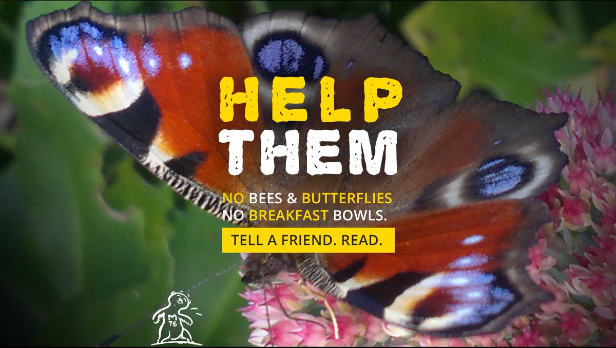 #newvideo 🐝🦋😉 ⫸ youtube.com/watch?v=BQvWoP… NO #BEES & #BUTTERFLIES NO #BREAKFAST #BOWLS 70-80% decline in #pollinators means: They NEED you. Support @BeeAsMarine, 59.800 do already FOR A #NATURE BACK IN BALANCE 🐝change.org/p/linkedin-let… Thank U! #generationrestoration #rt