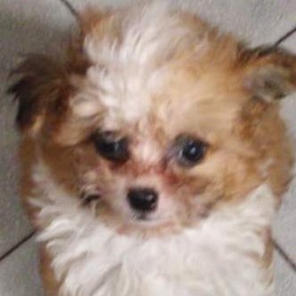 Lore_Animation's tweet photo. @twaniimals Te absorbe el alma https://t.co/qp9qqcsgSe