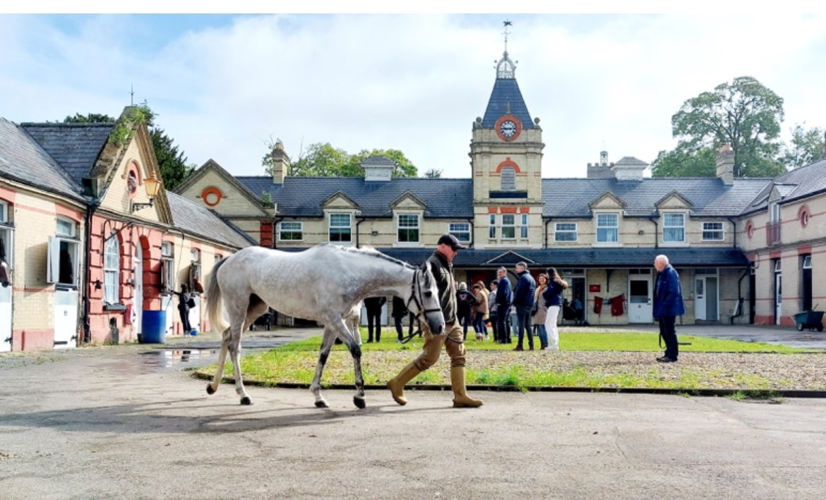 Stable visit this morning, for Greysful Storm & Mystical Queen shareholders @HarratonCourt