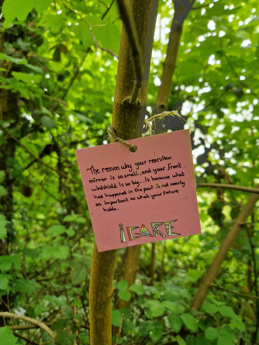 I'm really loving these random little notes that are left scattered throughout Rinville Woods in Oranmore.