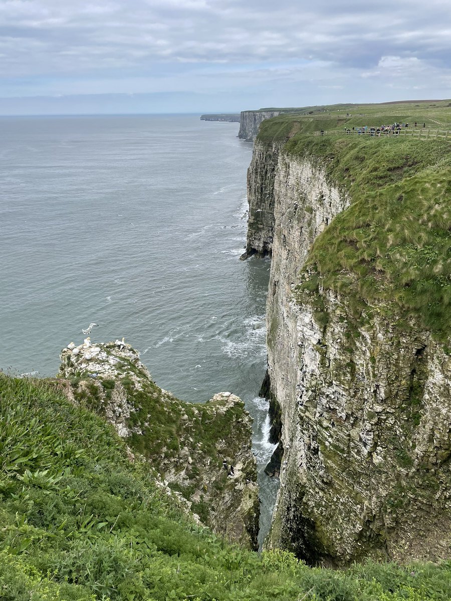 amybooth896's tweet photo. Perfect Saturday afternoon at RSPB Bempton looking for puffins👌🏻🌊 https://t.co/fMy82xxFCK