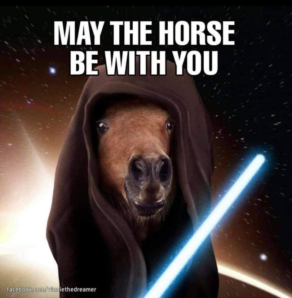 #KentuckyDerby #KyDerby #KentuckyDerby150 #MayThe4th
#Maythe4thBeWithYou
#RunfortheRoses
