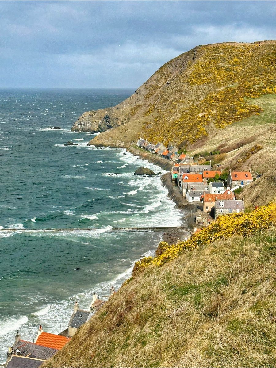 It's no secret #Scotland has an abundance of picturesque coastal villages full of character! 😍🌊 📍 Crovie, @visitabdn 📸 IG/scotland_with_sam