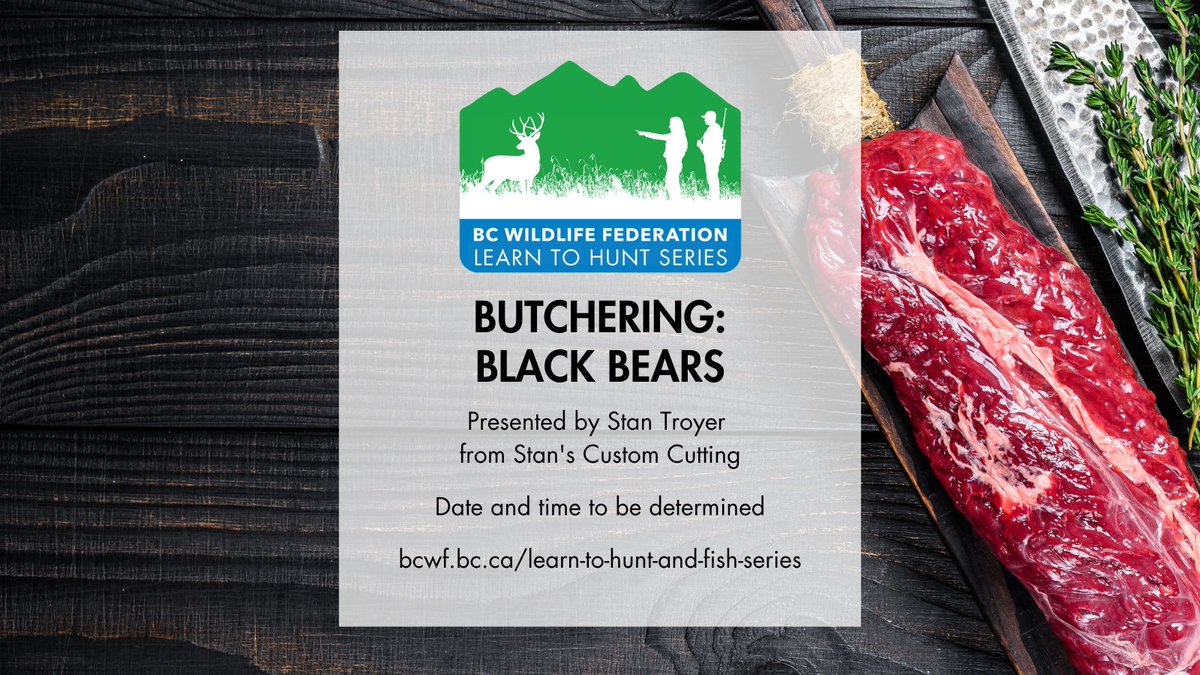 Learn from Stan Troyer of Stan’s Custom Cutting how to butcher a black bear and put some of the most desirable protein there is on your plate. Once we have access to a bear, we'll inform registrants of the date. Learn more & register: bcwf.bc.ca/learn-to-hunt-…