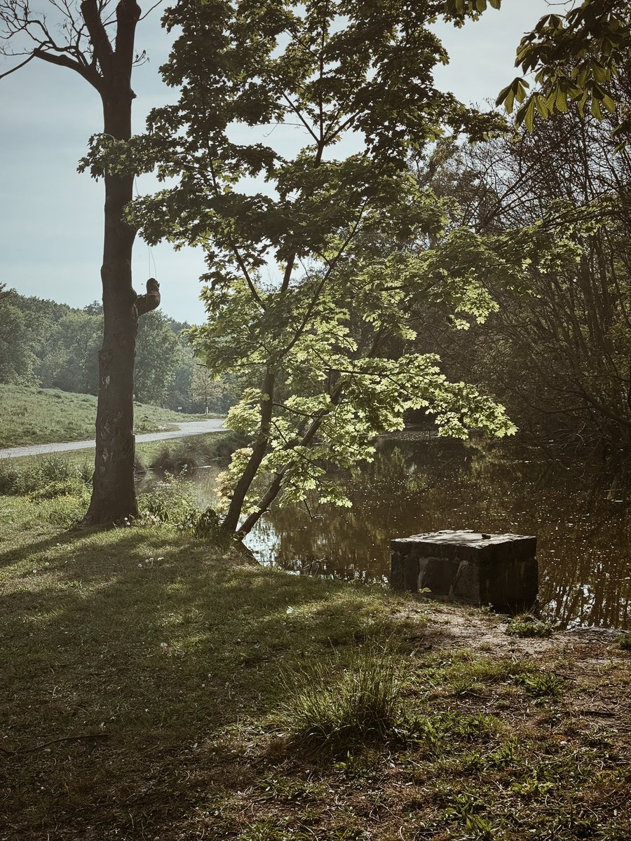 numicor's tweet image. Катанули на велах по окраинам Праги