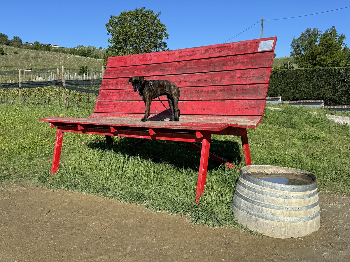 La Panchina Gigante Rossa La Morra o Panca della Serenità #Bench #blog #Italia