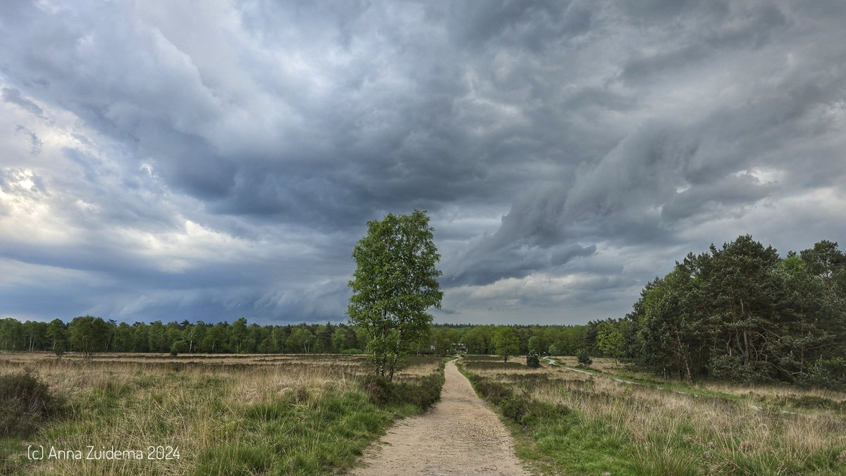 Anna Zuidema 🌤🌧☔🌪⛈❄ tweet media