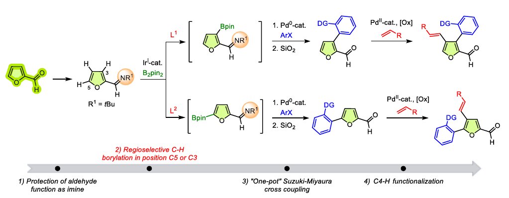 Selective C3- or C5-Borylation of Furfural Derivatives: Enabling the Synthesis of Tri- and Tetra-Substituted Furan Analogues (@ChemRxiv): chemrxiv.org/engage/chemrxi…