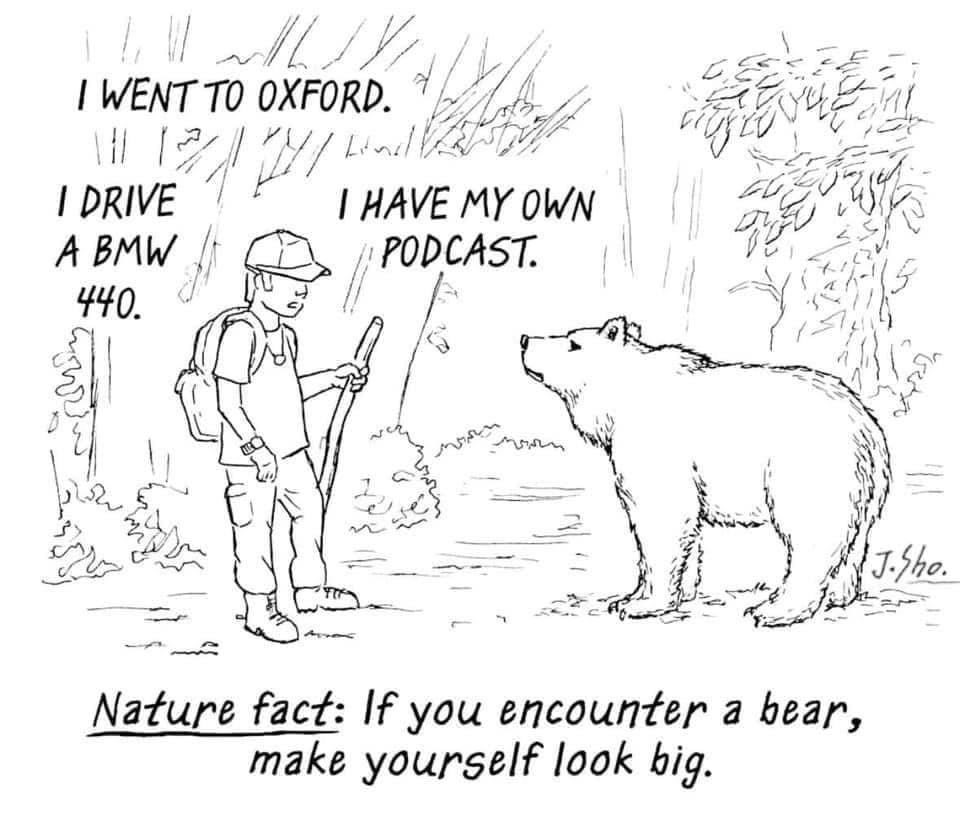 What could you say about yourself that’s sure to impress a bear?
