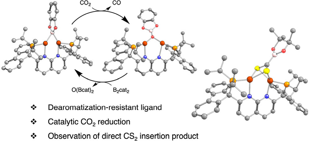 Diborane Reductions of CO2 and CS2 Mediated by Dicopper μ-Boryl Complexes of a Robust Bis(phosphino)-1,8-naphthyridine Ligand (@Orgmet_ACS): pubs.acs.org/doi/10.1021/ac… (@TDTilleyGroup).