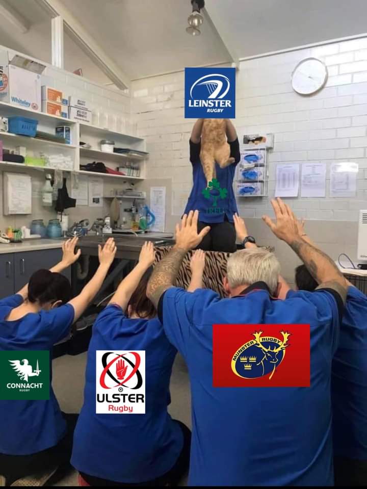 Leinster didn't disappoint.

#LEIvNOR #InvestecChampionsCup
#SinBinRugby #FromTheGroundUp