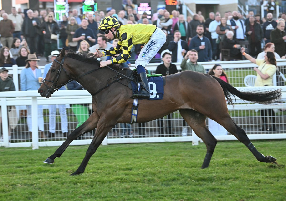 RACE 6 RESULT: The @quinnbet Second To The Favourite Handicap Stakes 🏆 Zipster Jockey: @loughnane_billy Trainer: @SimonCrisford @edcrisford Owner: Newsells Park Stud - Waldmark Syndicate