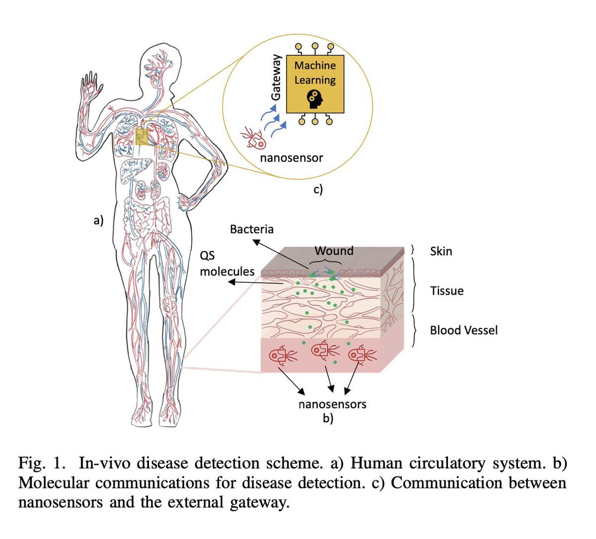 CorinneNokel's tweet image. Concept - The Body Is The Network
Nanosensor Location Estimation in the Human Circulatory System using Machine Learning
Falko Dressler / Bige Unluturk
#NanoDevices
#IntraBodyNanoSensorNetworks
#NanoscaleComputing
#MolecularCommunication
#MedicalBAN
tkn.tu-berlin.de/bib/torres-gom…