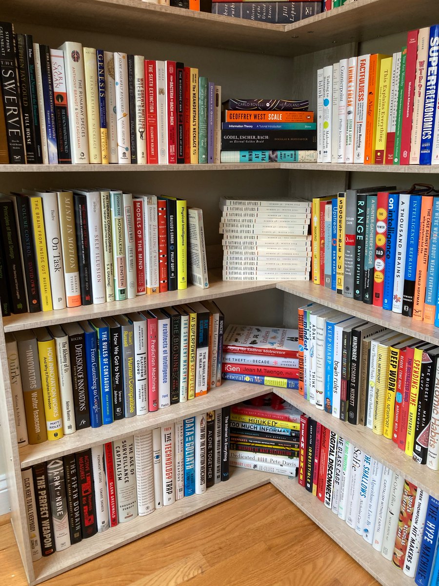 Today we finally shelved all the books my wife brought into our marriage. We are dubbing them her “dowry shelves.”